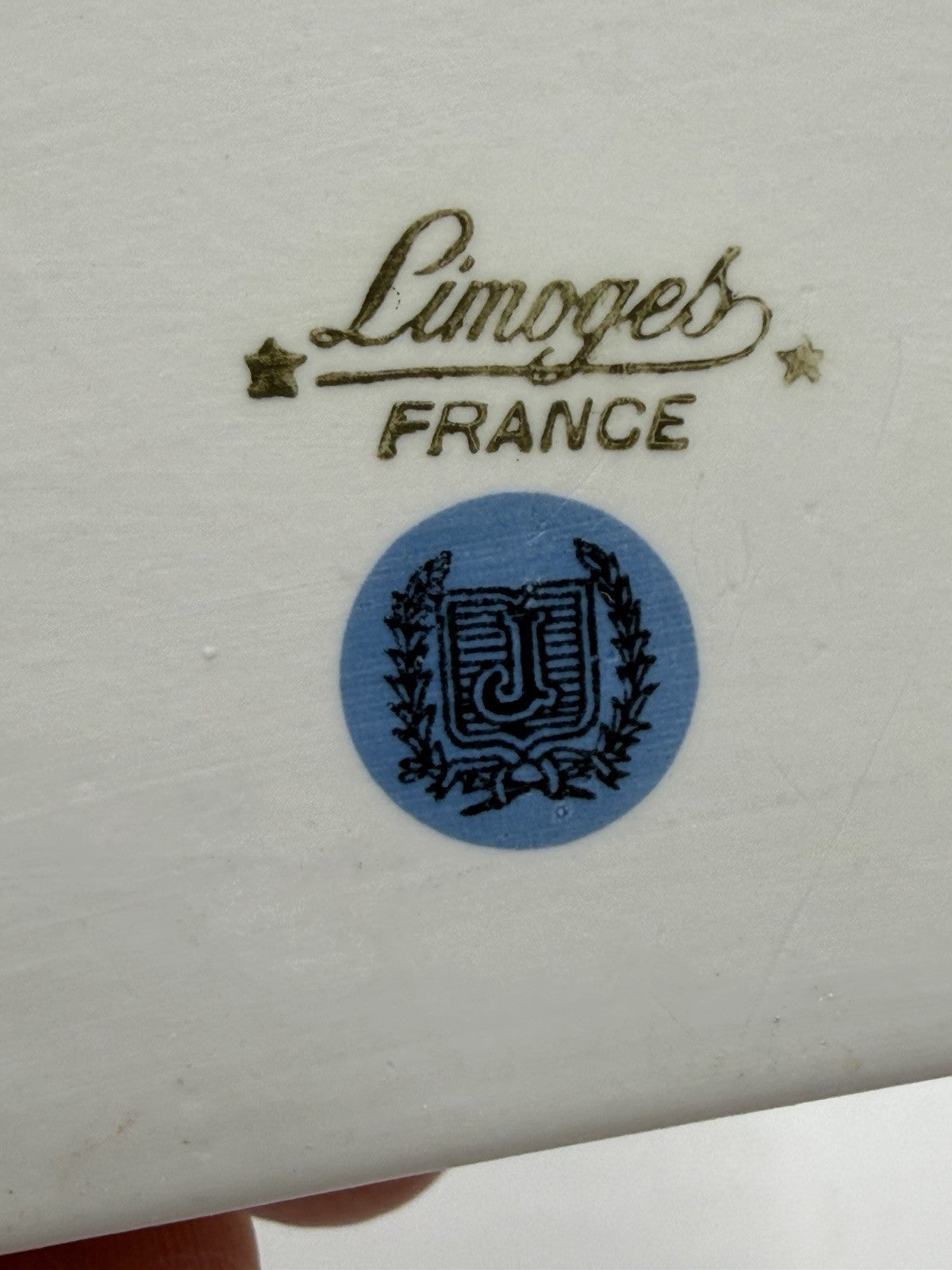 Vtg Limoges France Porcelain Birds Bugs  Botanical Trinket Box 1.5”x3.5”x2.5”