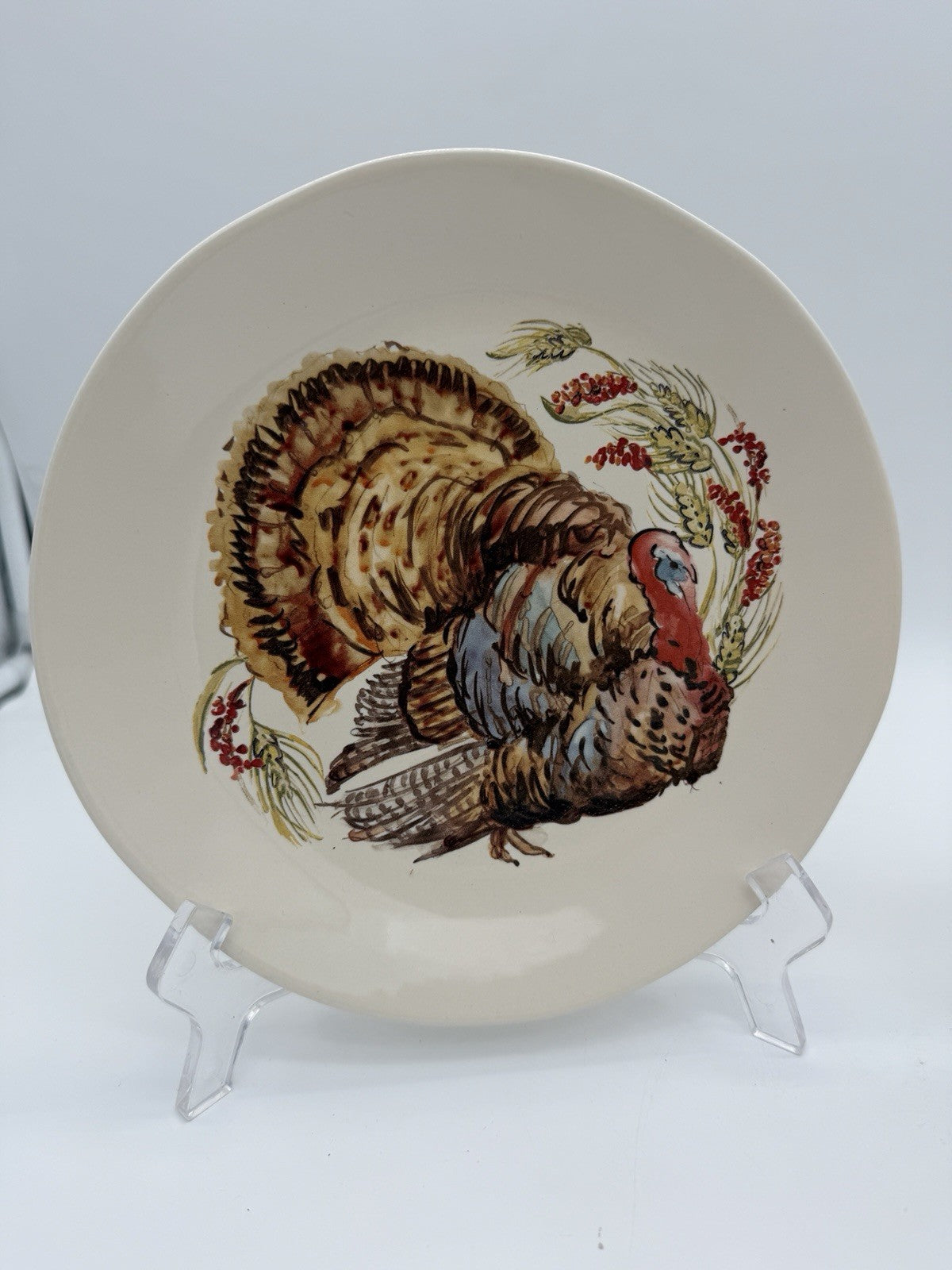 Pottery Barn Watercolor Plymouth Turkey 2 salad plates Thanksgiving 8”