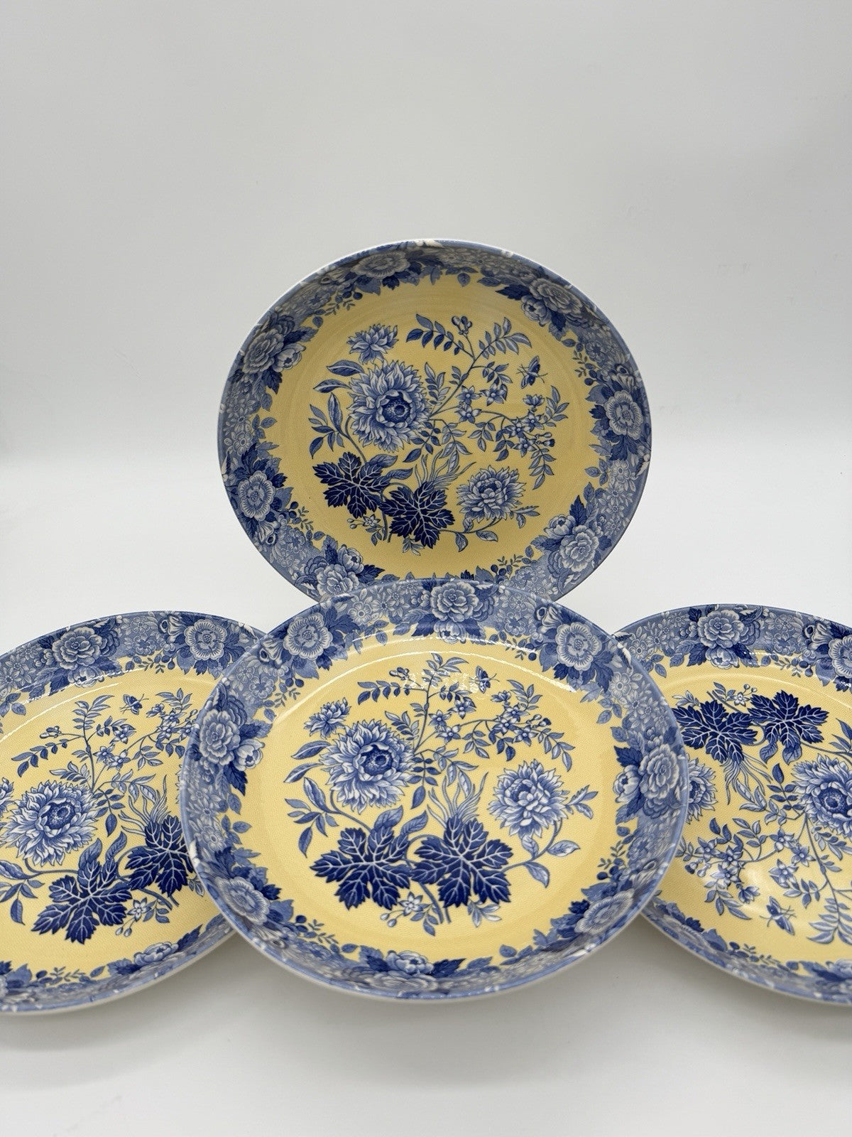 Spode Porcelain Blue Room Garden Collection Jasmine Blue & Yellow Pasta bowl Set