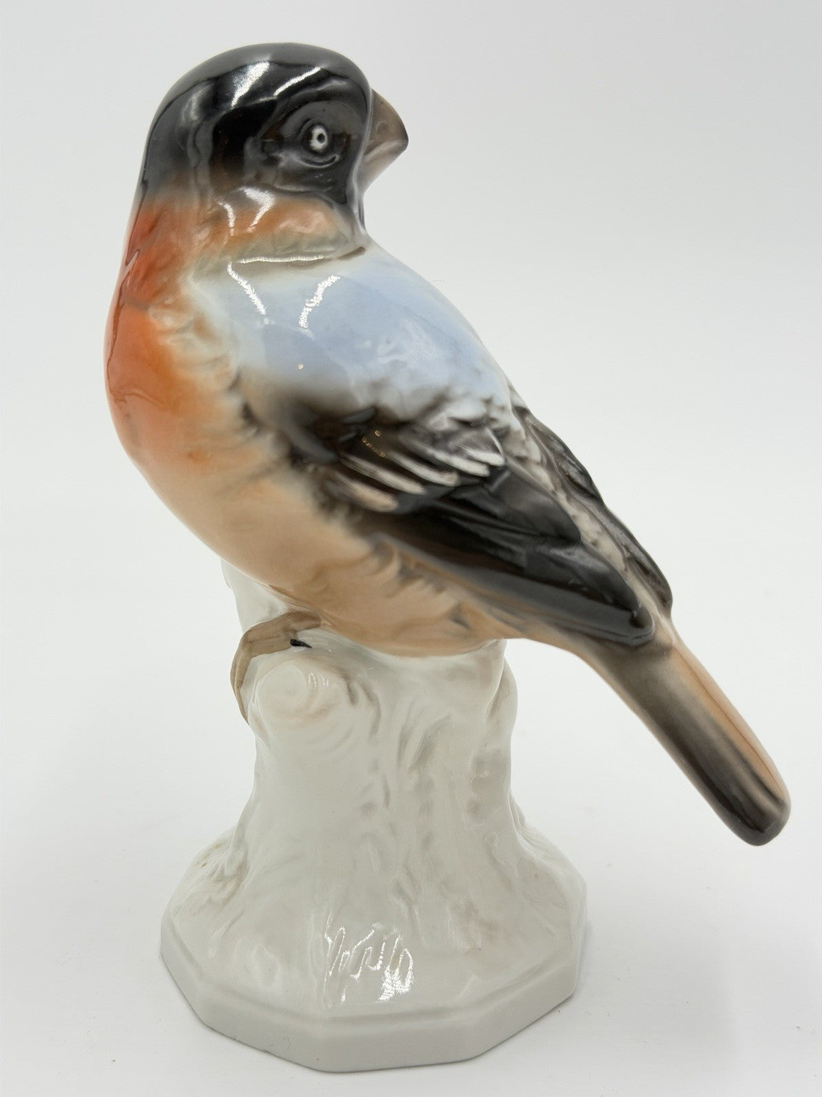 Antique Unterweissbach Germany Porcelain Bullfinch Bird Figurine 5”H #8509 Model