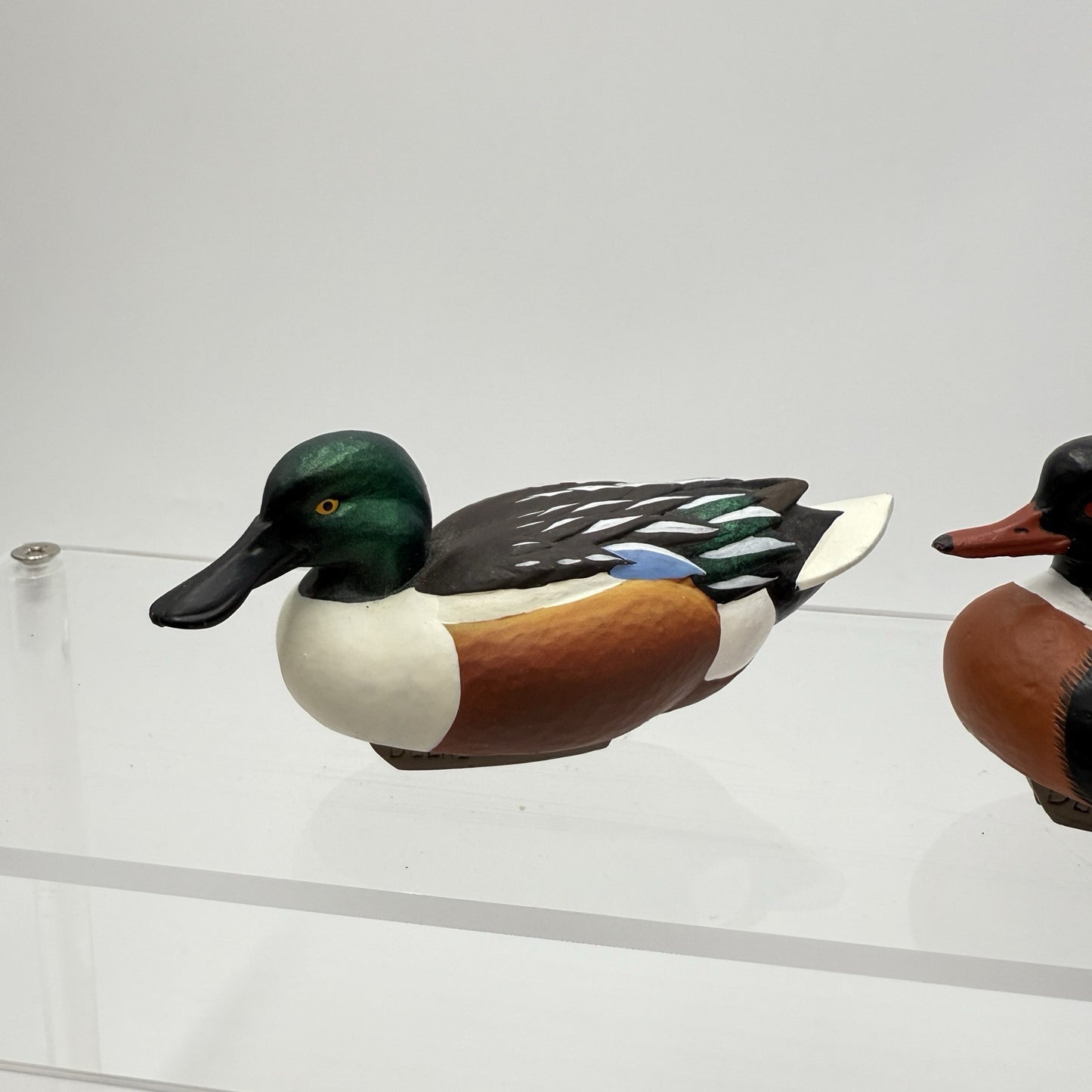 Ducks Unlimited Red Breasted &North Shoveler Jett Brunet Mini Decoy Figurines